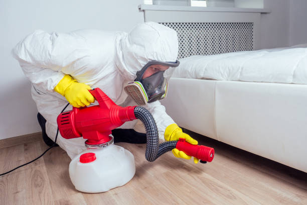 Best Pest Prevention Services  in Atwood, TN