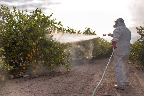 Best Mosquito Control Services  in Atwood, TN