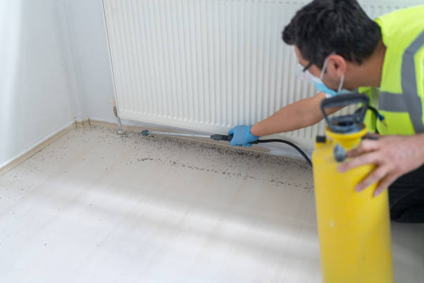 Trusted Atwood, TN Pest Control Experts
