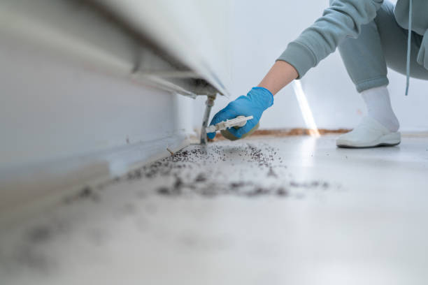 Best Emergency Pest Control  in Atwood, TN